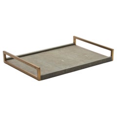 Rectangular Tray in Grey Shagreen Bronze Patina Brass by R&Y Augousti