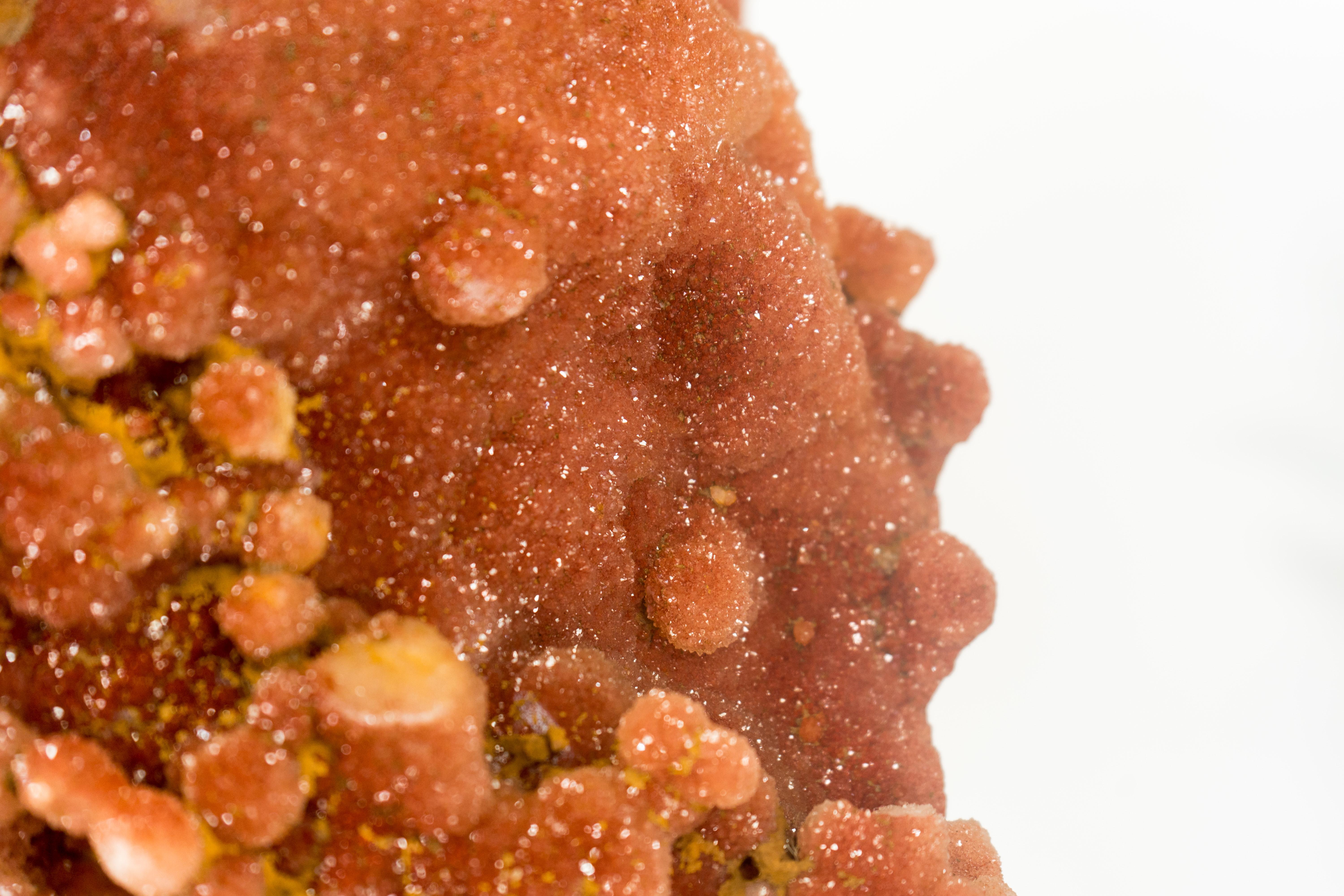 Geoda de amatista roja con drusa de amatista roja recubierta de azúcar, mineral raro en Excelente estado para la venta en Ametista Do Sul, BR