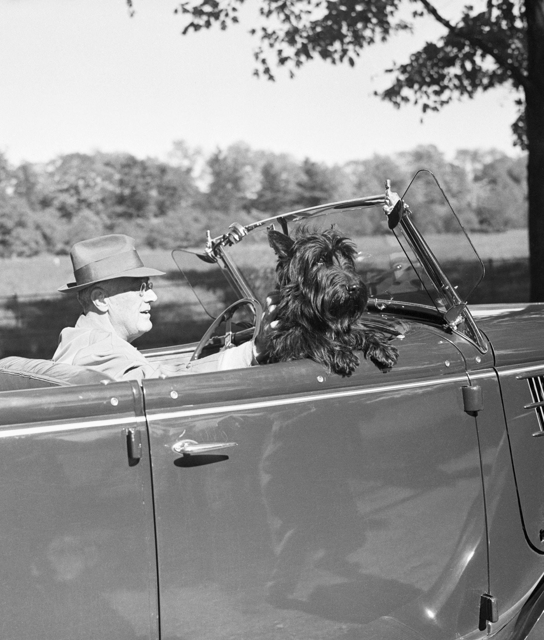 Pichet en verre américain Fala Scotty avec chien rouge et noir de la FDR, datant d'environ 1930-1940 en vente 5