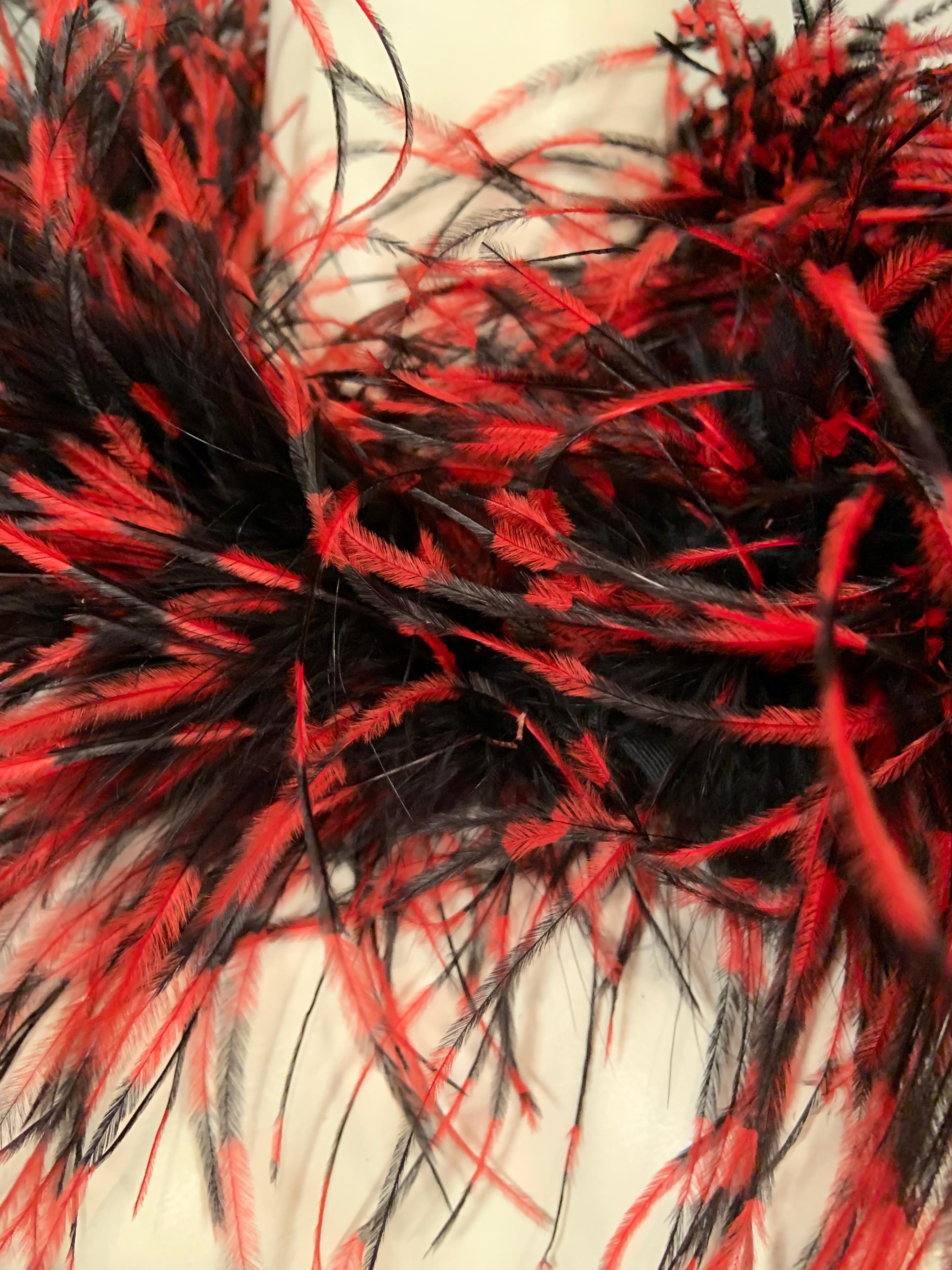red and black ostrich feathers