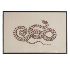 Serpiente roja y blanca Acuarela de L.R. Laffitte