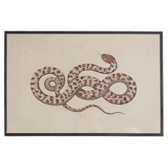 Red and White Snake Watercolour by L.R. Laffitte