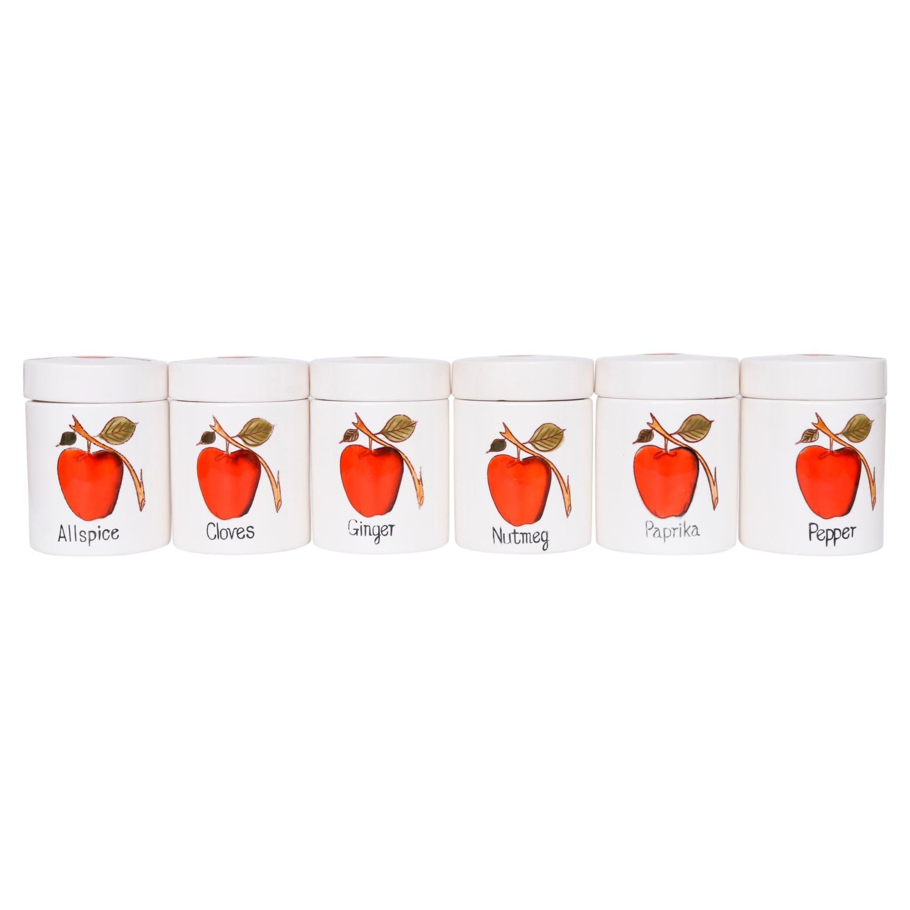 Red Apple Ceramic Spice Jars, Set of 6