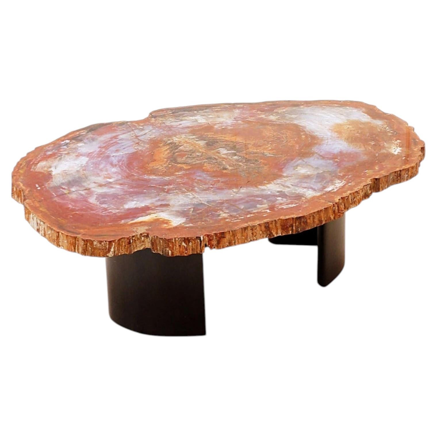 Couchtisch aus versteinertem Holz aus Arizona in Rot: 114 x 88 cm – 20.