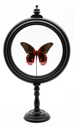 Red Butterfly in Round Reliquary