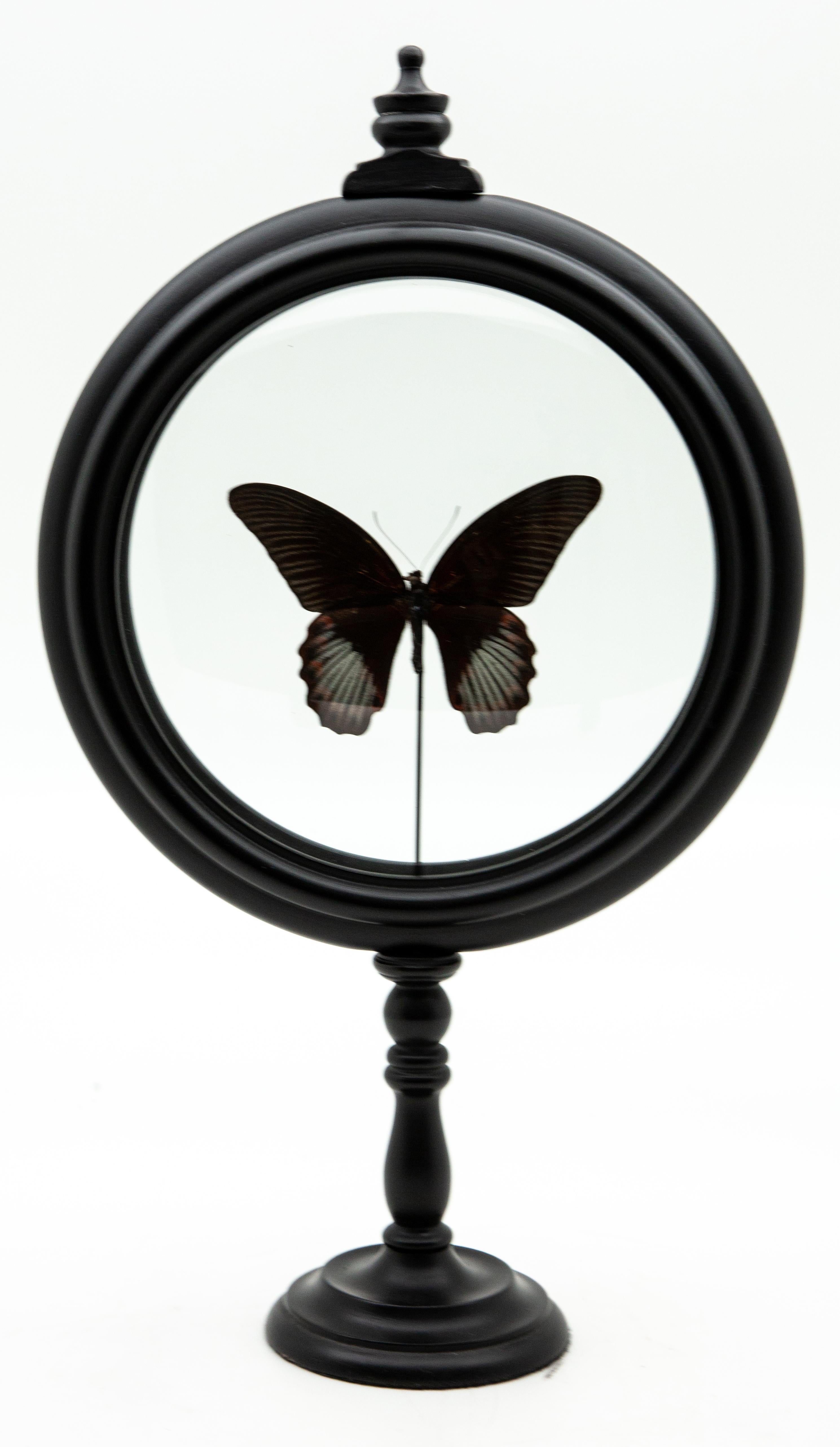 Contemporary Red Butterfly in Round Reliquary