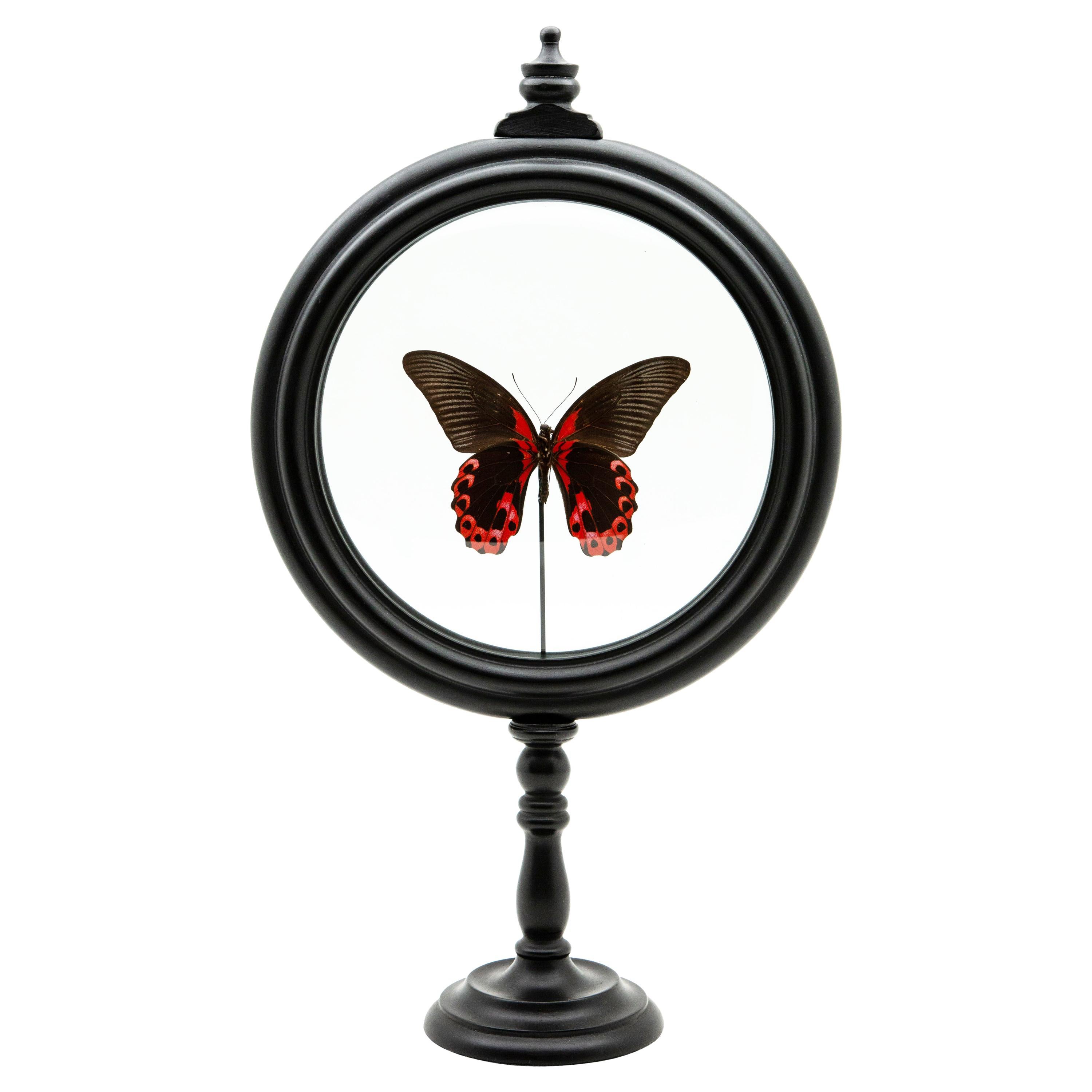 Red Butterfly in Round Reliquary