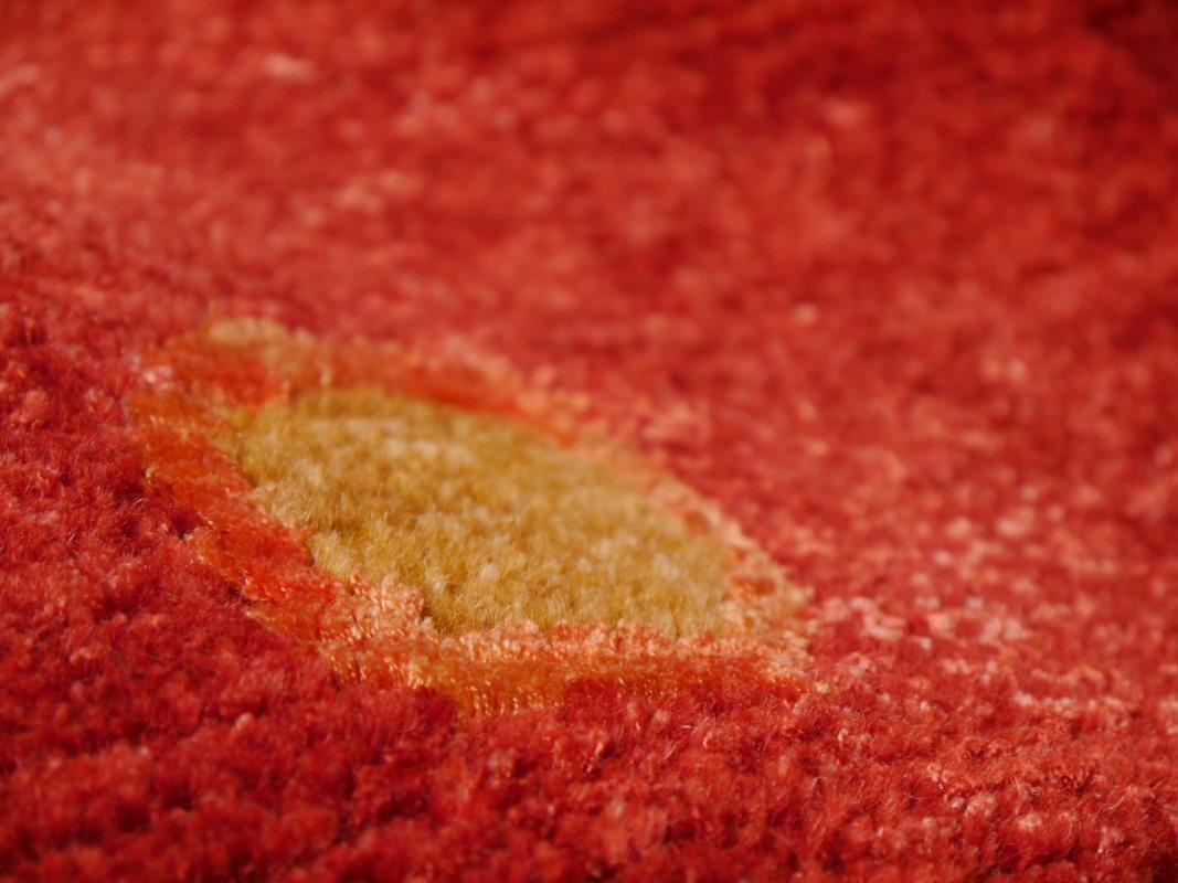Rot Contemporary Design Teppich Handgeknüpft Wolle und Seide Djoharian Collection (Nepalesisch) im Angebot