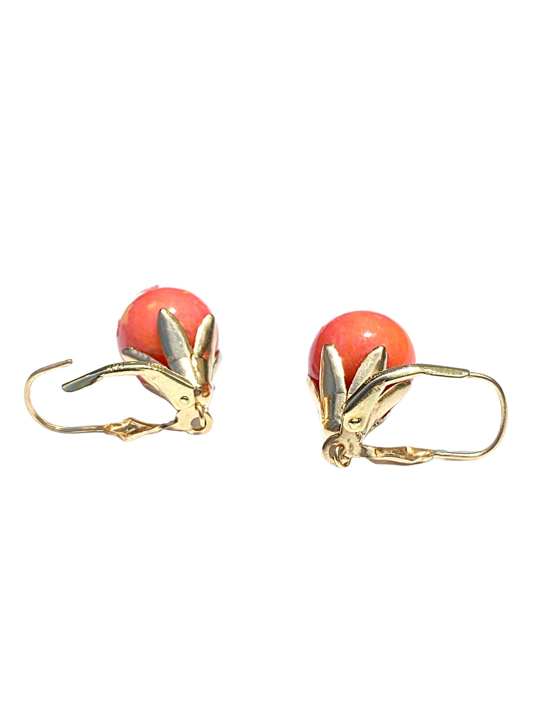 Red Coral and 14K Yellow Gold Drop Earrings In Good Condition In Miami, FL