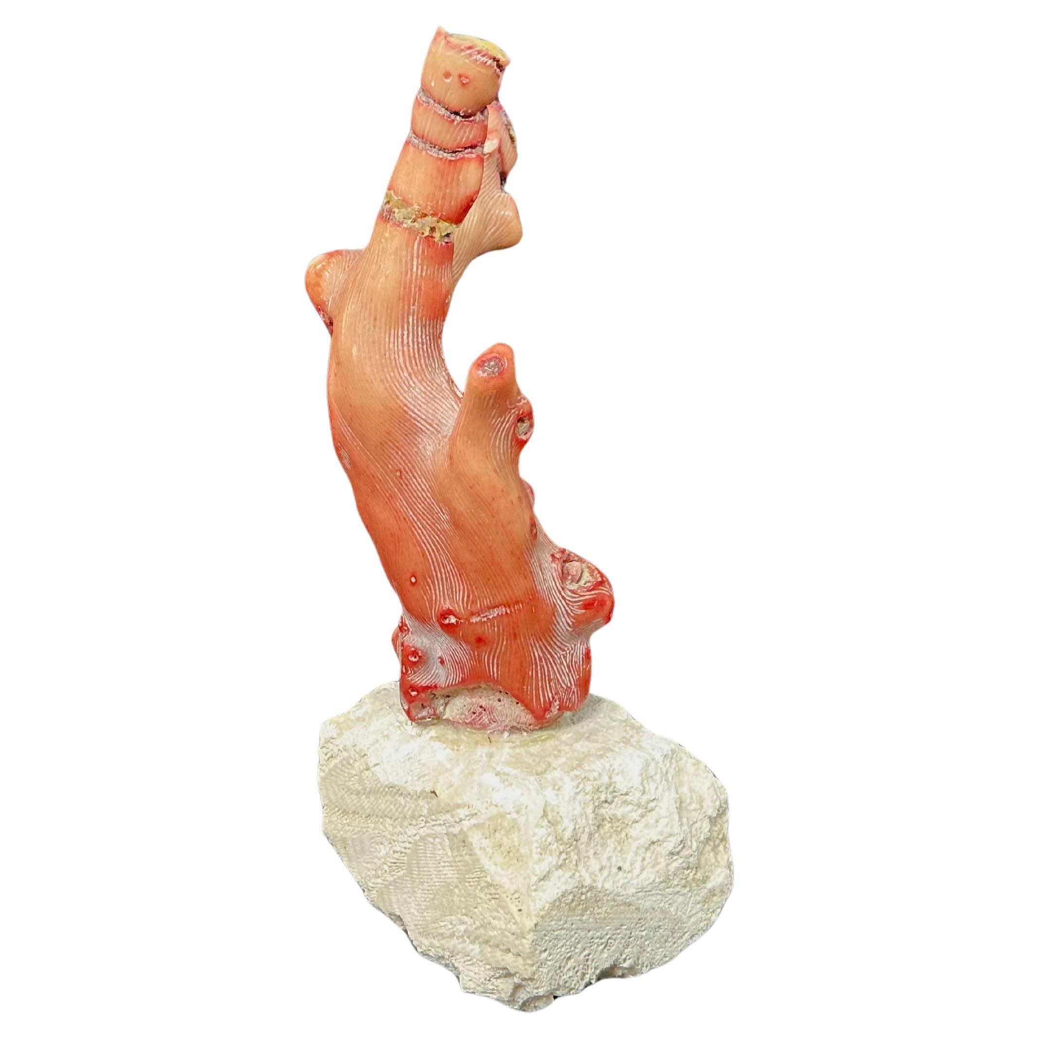 Organico moderno Branch di corallo rosso su supporto, metà del XX secolo in vendita