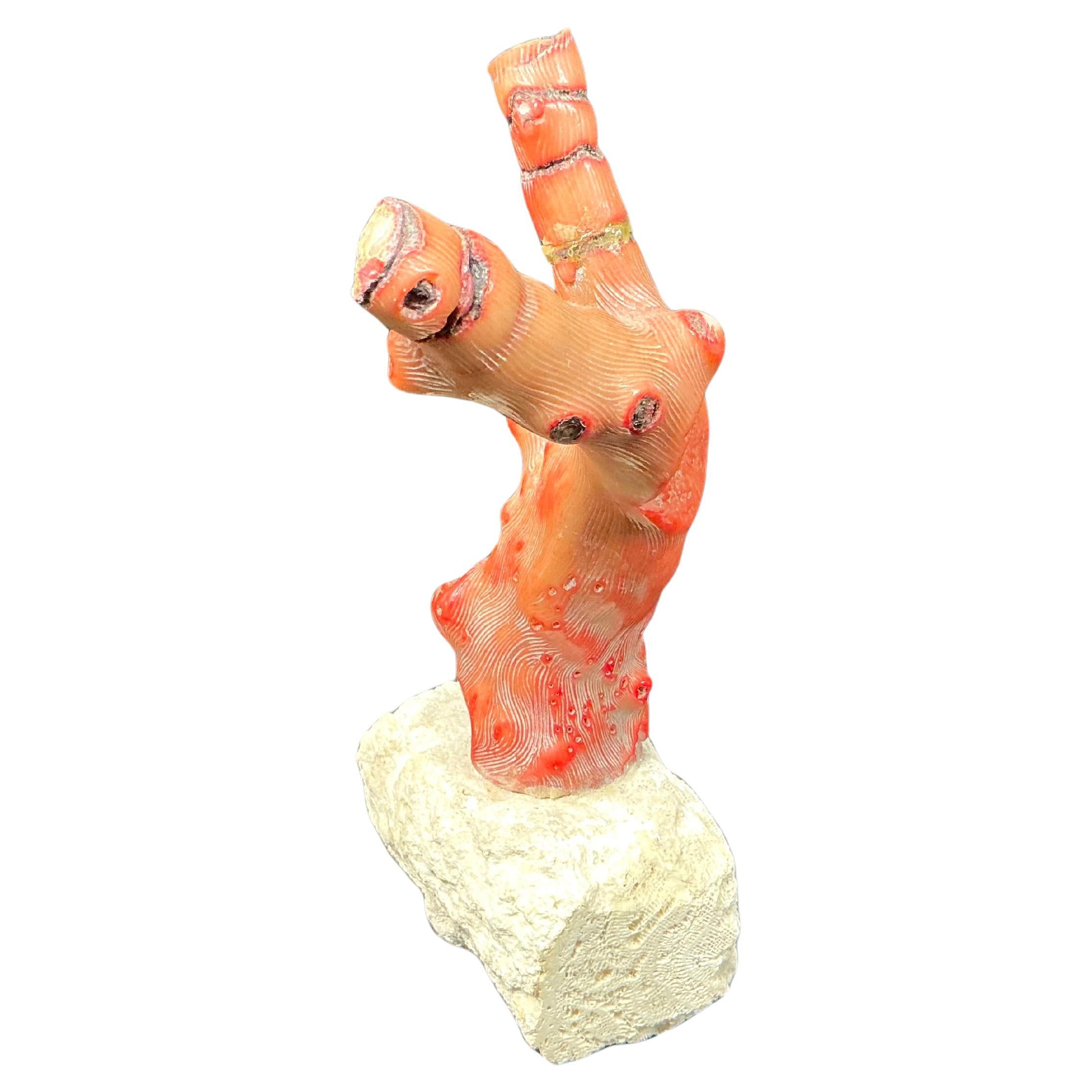 Branch di corallo rosso su supporto, metà del XX secolo In condizioni buone in vendita a Bradenton, FL