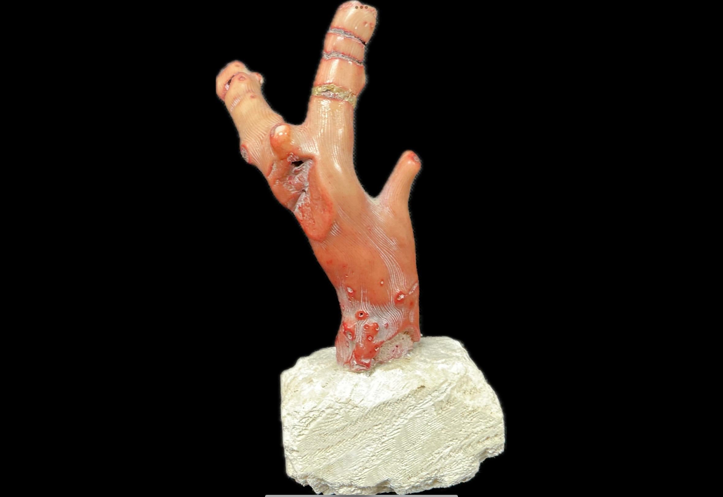 Branch di corallo rosso su supporto, metà del XX secolo in vendita 4