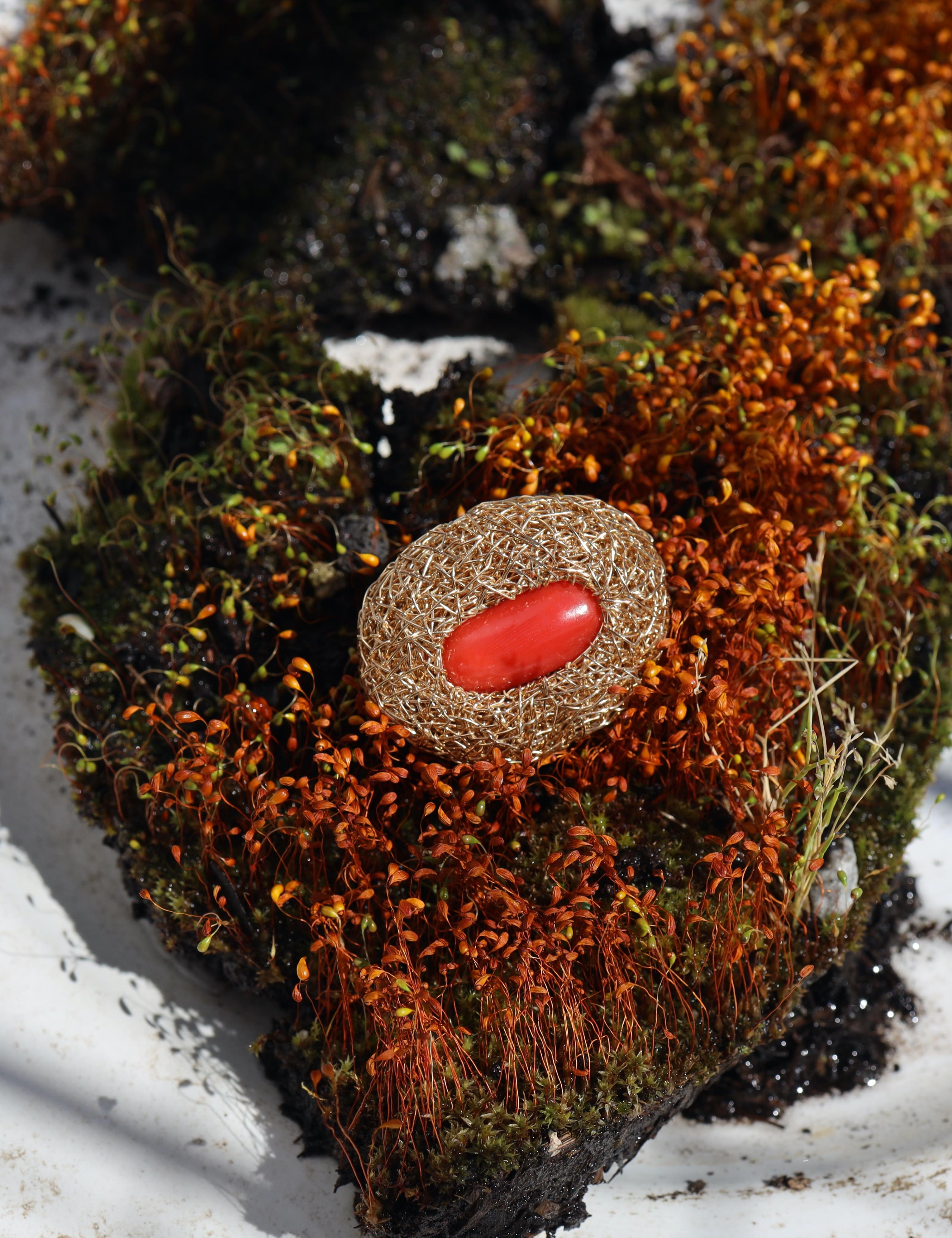 Uncut Red Coral in 14 kt Yellow Gold F. one-of-a-kind Cocktail Ring by the Artist For Sale