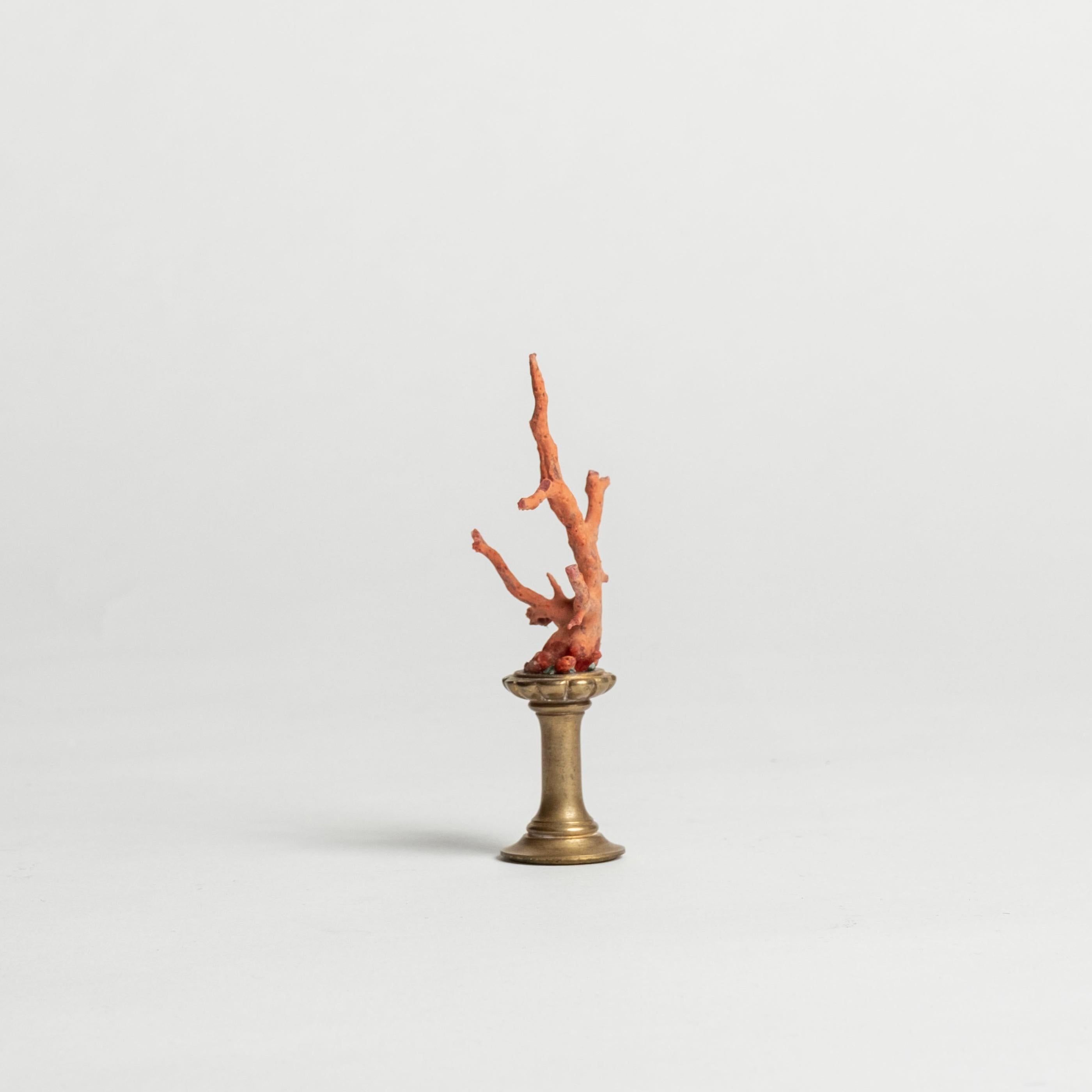 Rote Korallenskulptur~ Bronzefragment aus dem 19. im Zustand „Gut“ im Angebot in Houston, TX