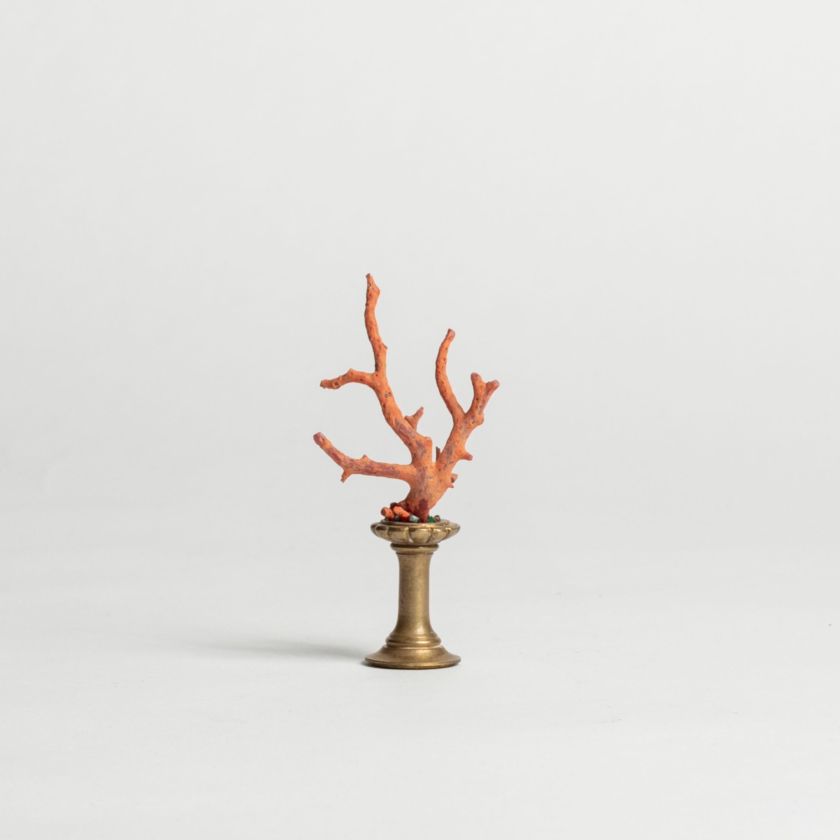 Rote Korallenskulptur~ Bronzefragment aus dem 19. (21. Jahrhundert und zeitgenössisch) im Angebot