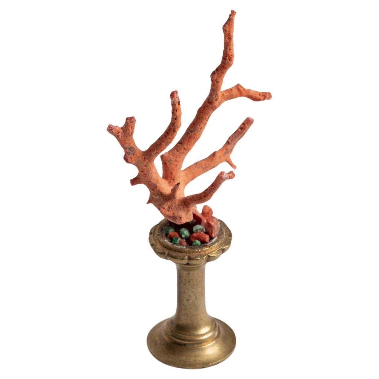 Red Coral Sculpture~ 19th Century Bronze Fragment