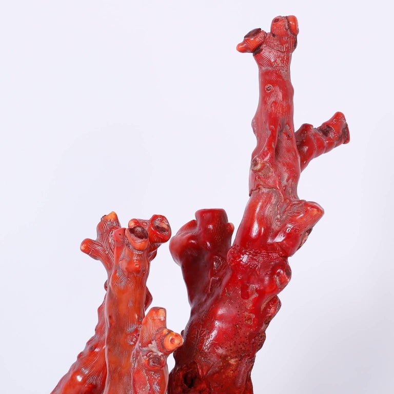 Red Coral Sculpture at 1stDibs