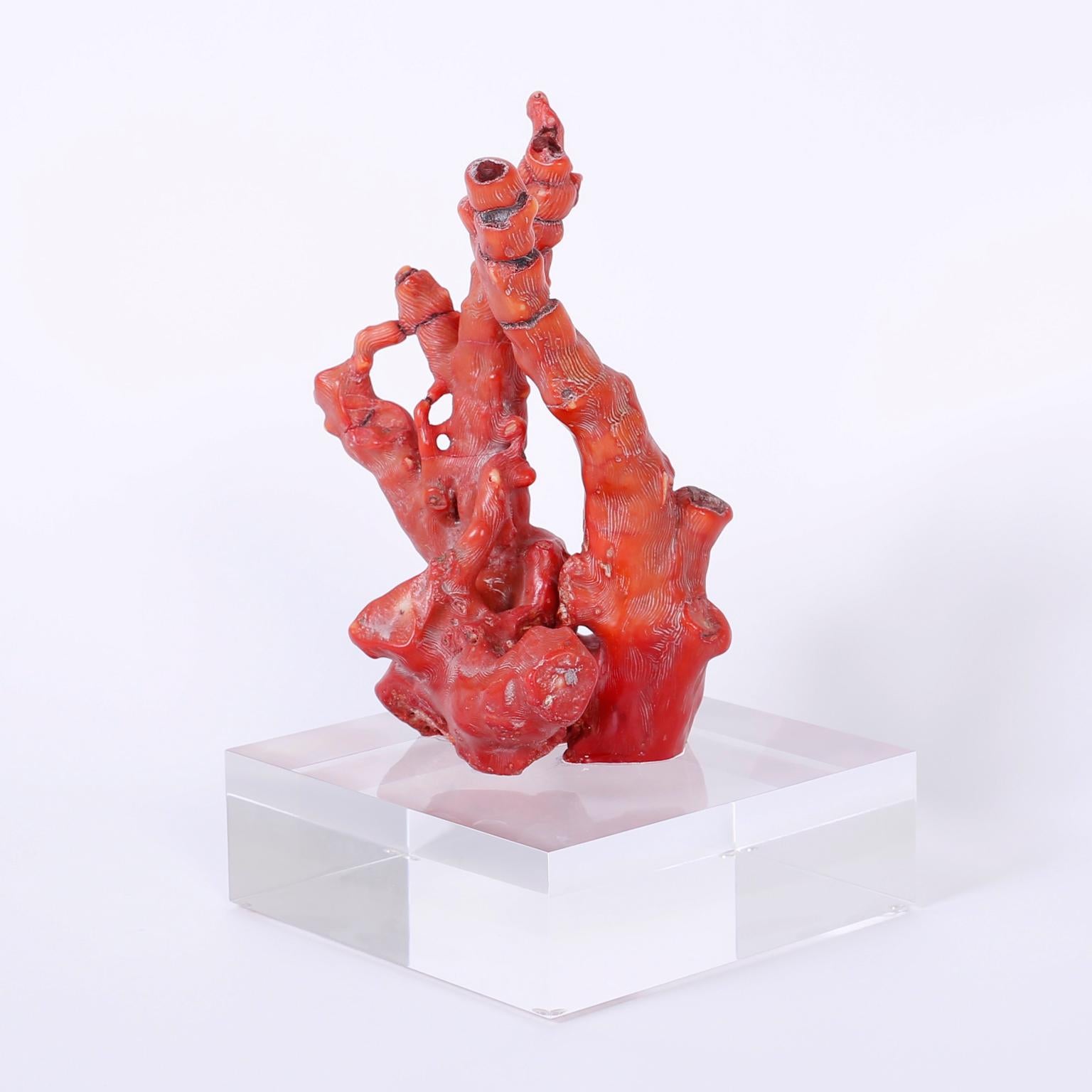 red coral statue