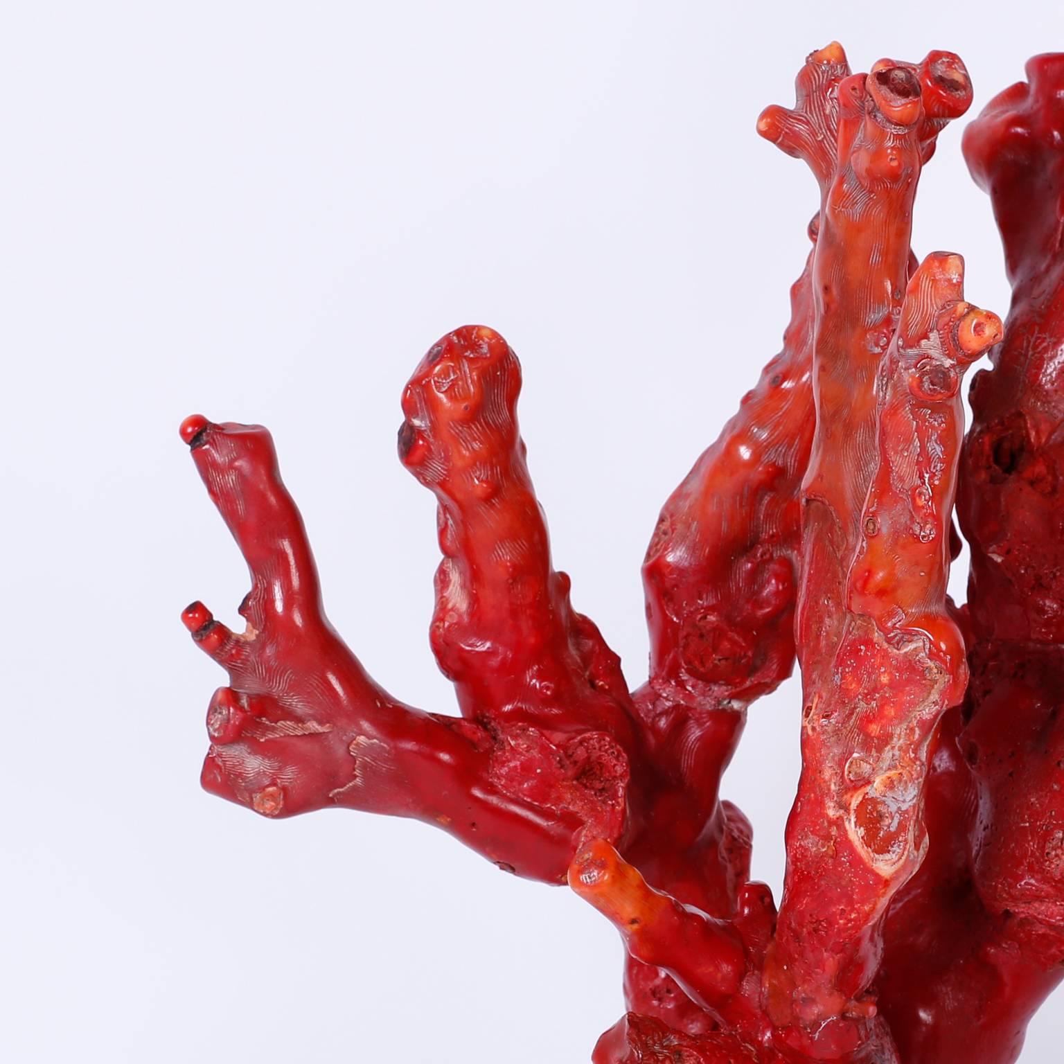 Chinese Red Coral Sculpture