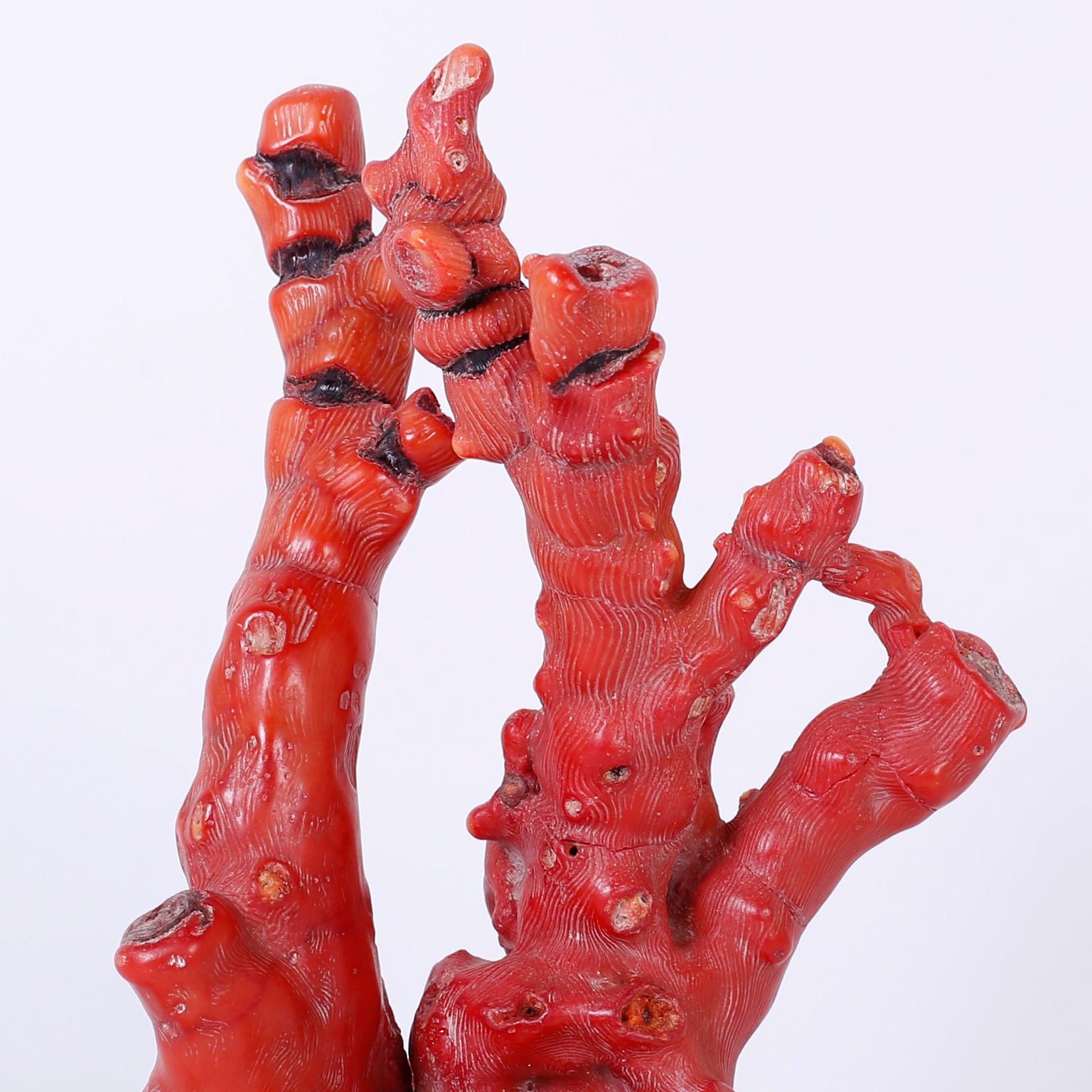 Organic Modern Red Coral Sculpture