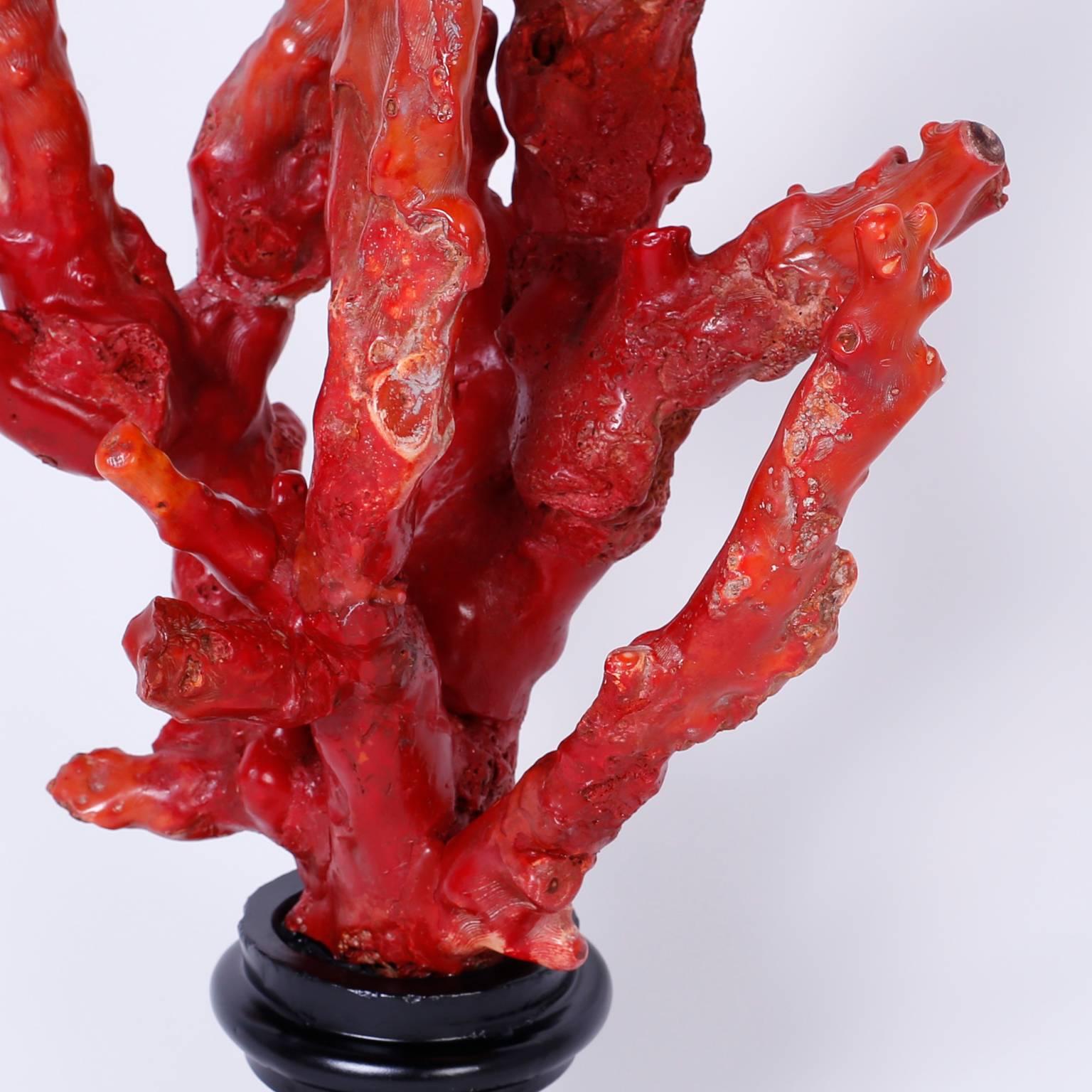 Red Coral Sculpture In Excellent Condition In Palm Beach, FL