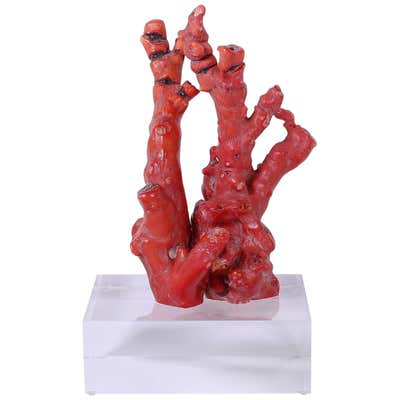 Red Coral Sculpture with Natural Coral For Sale at 1stDibs