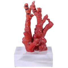 Red Coral Sculpture