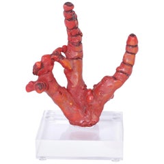 Red Coral Sculpture