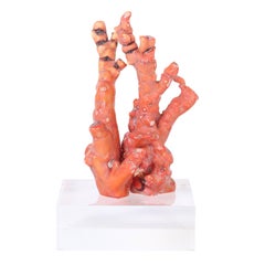 Red Coral Sculpture