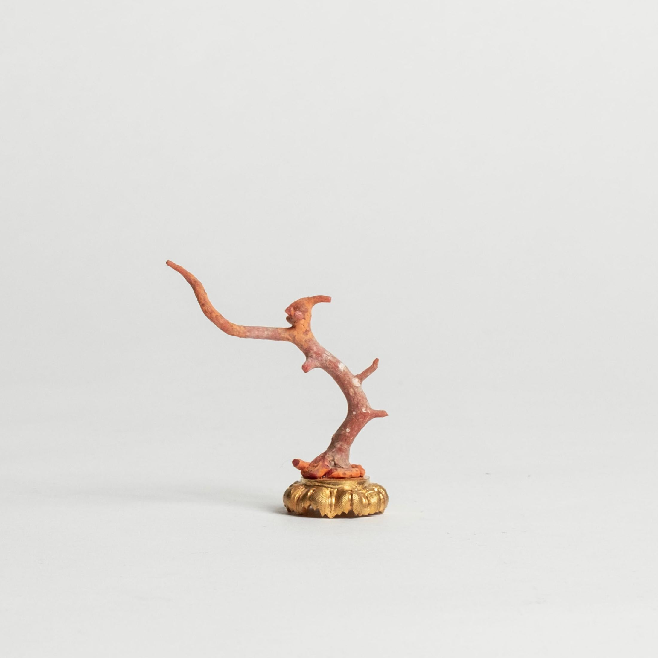 Red coral branch mounted on a 19th-Century French bronze doré fragment. This is a lovely objet d'art to add to your collection or cabinet.

During the Renaissance, Cabinets of Art and Curiosity were developed for the essential expressions of human