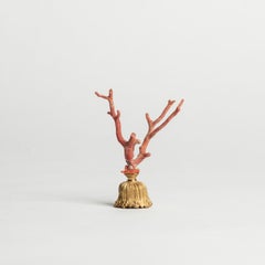 Red Coral Sculpture~ Napoleon III Bronze Doré Fragment