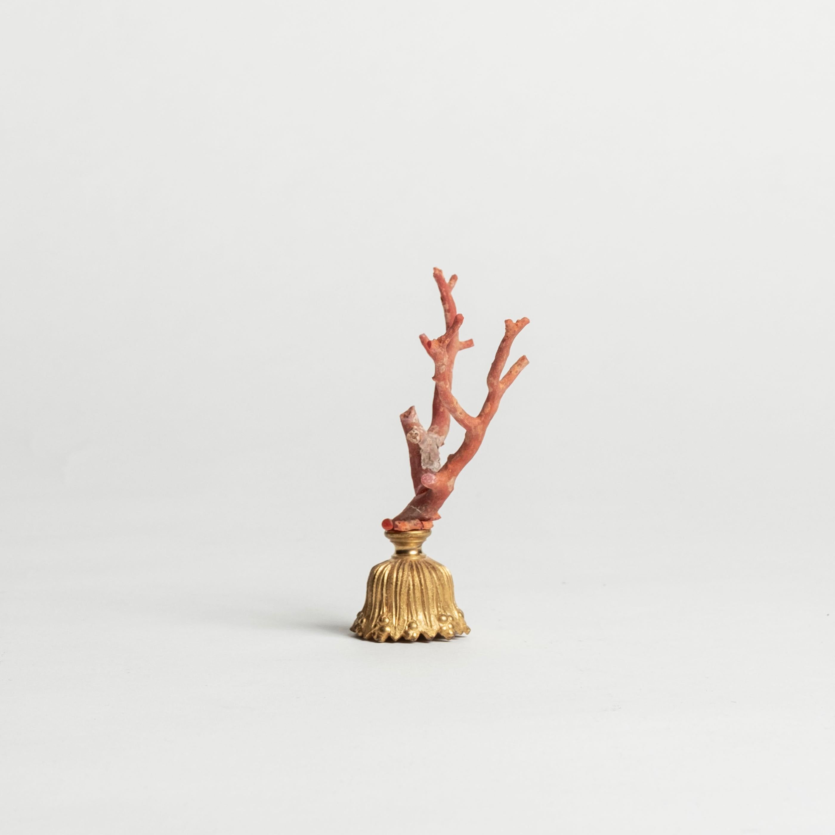 Renaissance Sculpture en corail rouge~ Fragment de bronze doré de Napoléon III en vente