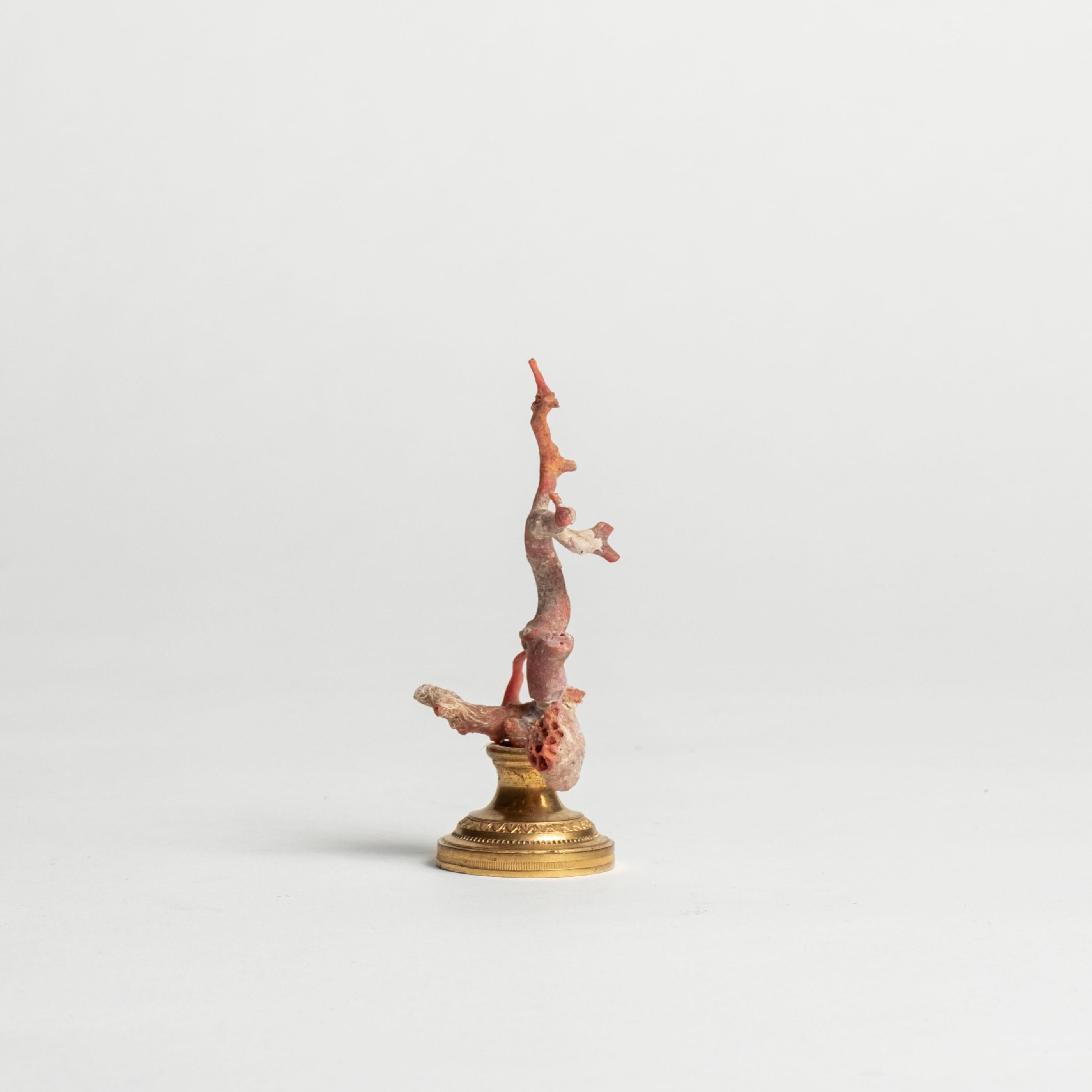 Renaissance Sculpture en corail rouge~ Fragment de bronze doré de Napoléon III en vente