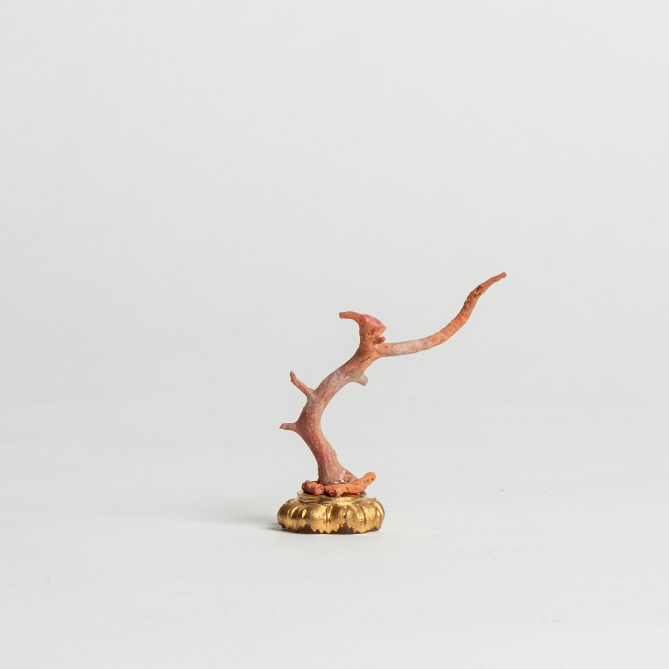 Red Coral Sculpture~ Napoleon III Bronze Doré Fragment In Good Condition For Sale In Houston, TX