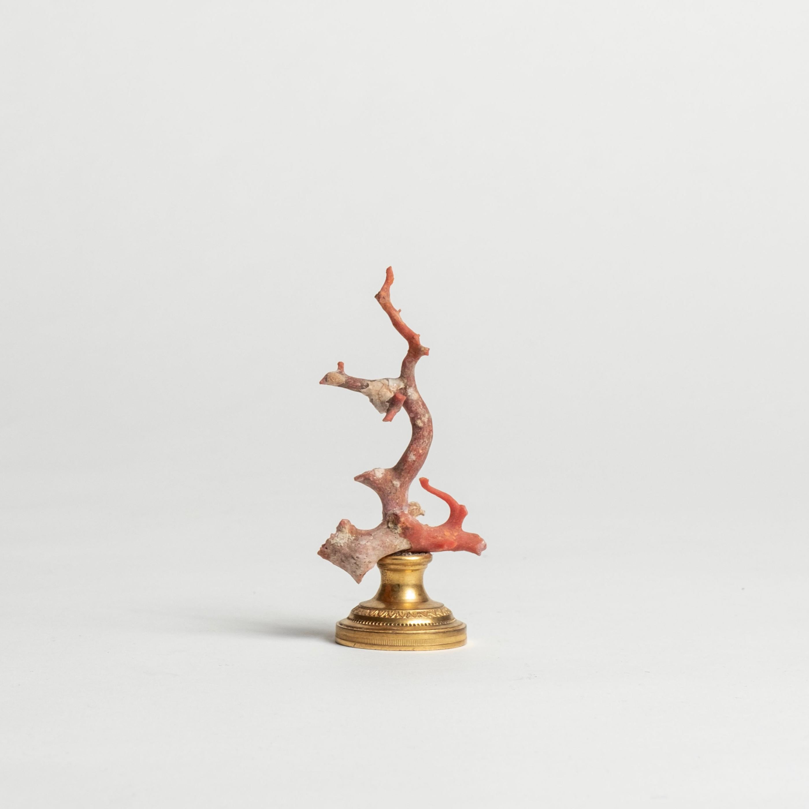 Sculpture en corail rouge~ Fragment de bronze doré de Napoléon III Bon état - En vente à Houston, TX