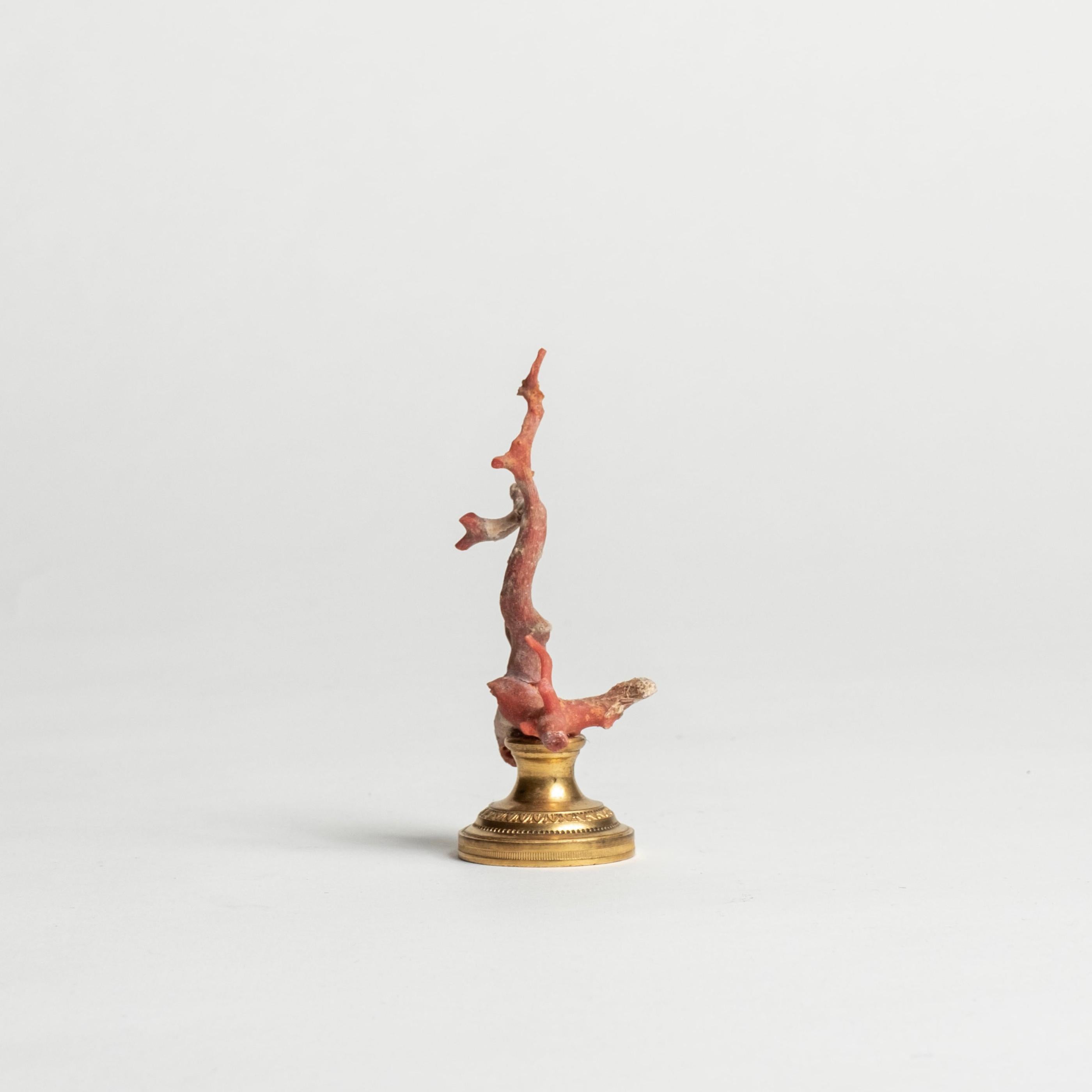 XXIe siècle et contemporain Sculpture en corail rouge~ Fragment de bronze doré de Napoléon III en vente