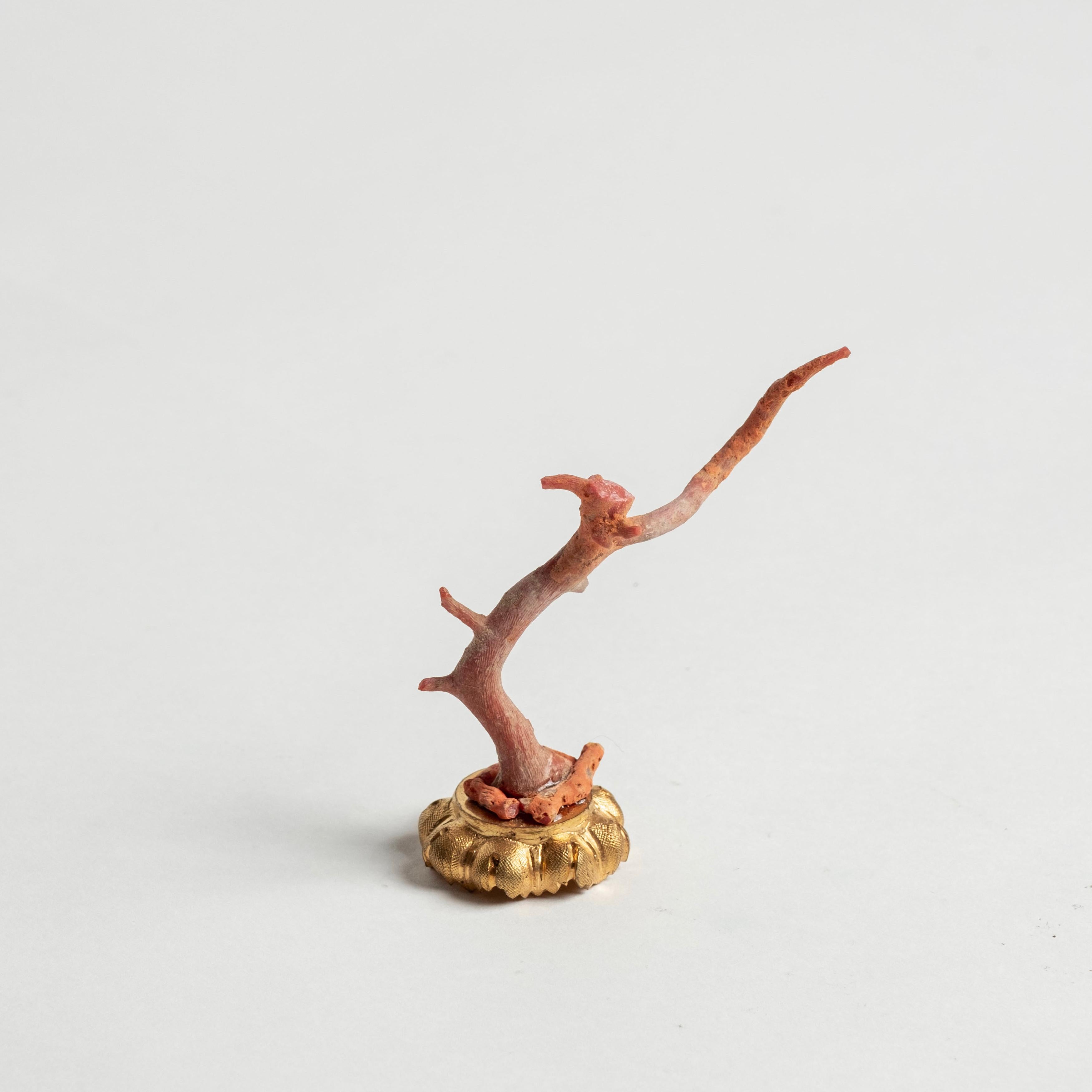 Red Coral Sculpture~ Napoleon III Bronze Doré Fragment For Sale 1