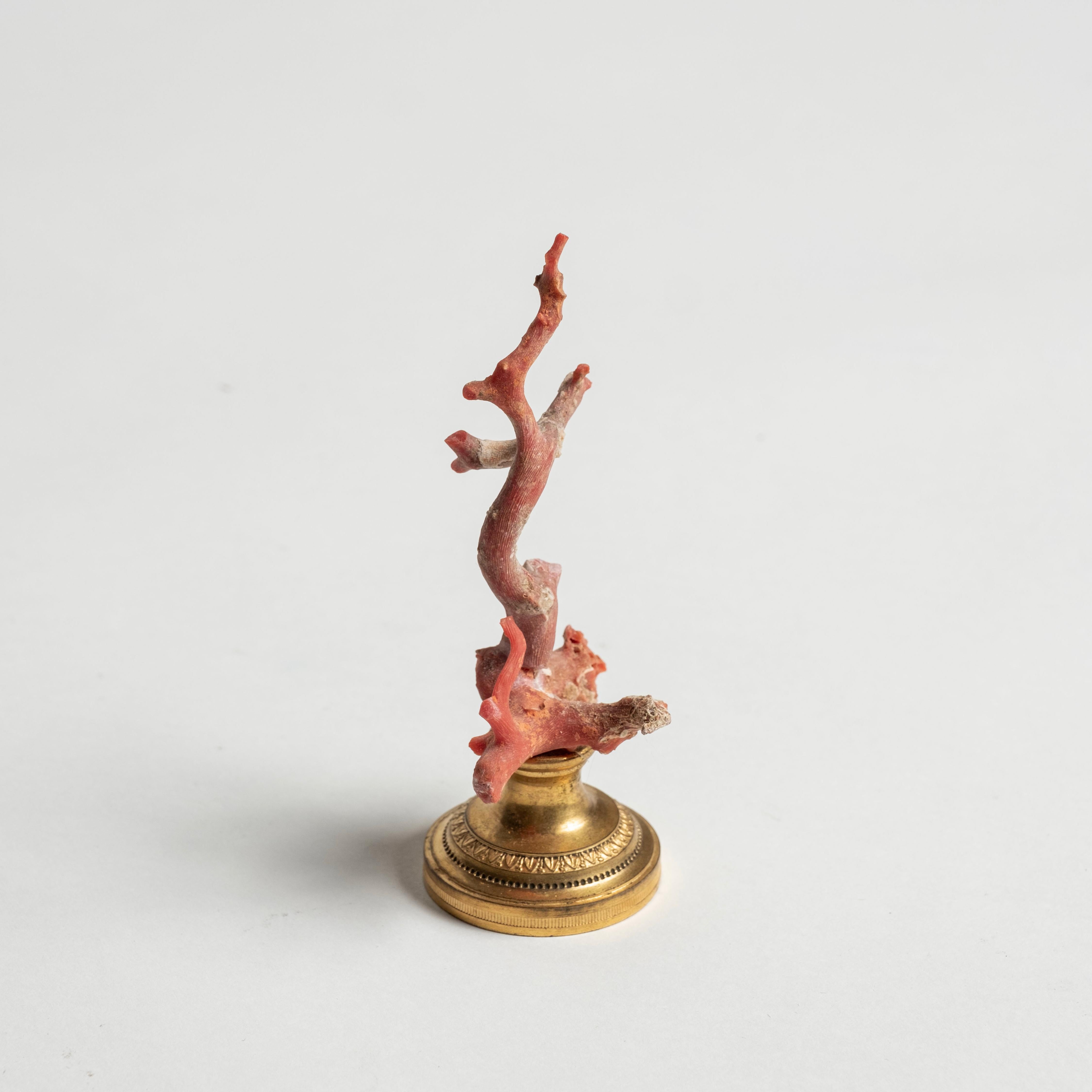 Corail Sculpture en corail rouge~ Fragment de bronze doré de Napoléon III en vente