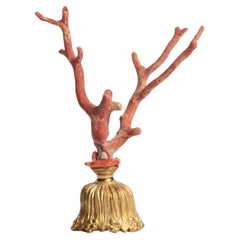 Red Coral Sculpture~ Napoleon III Bronze Doré Fragment