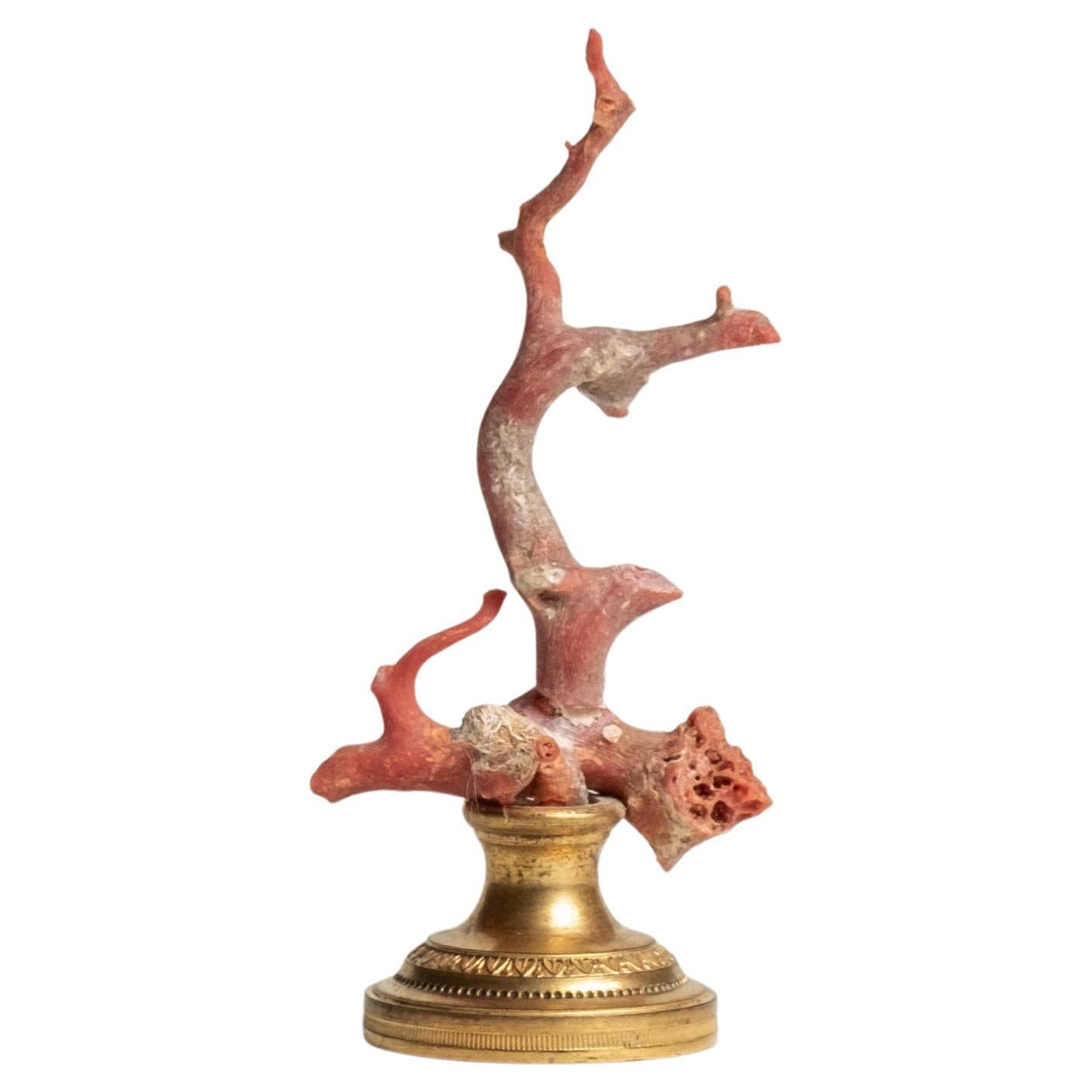 Red Coral Sculpture~ Napoleon III Bronze Doré Fragment