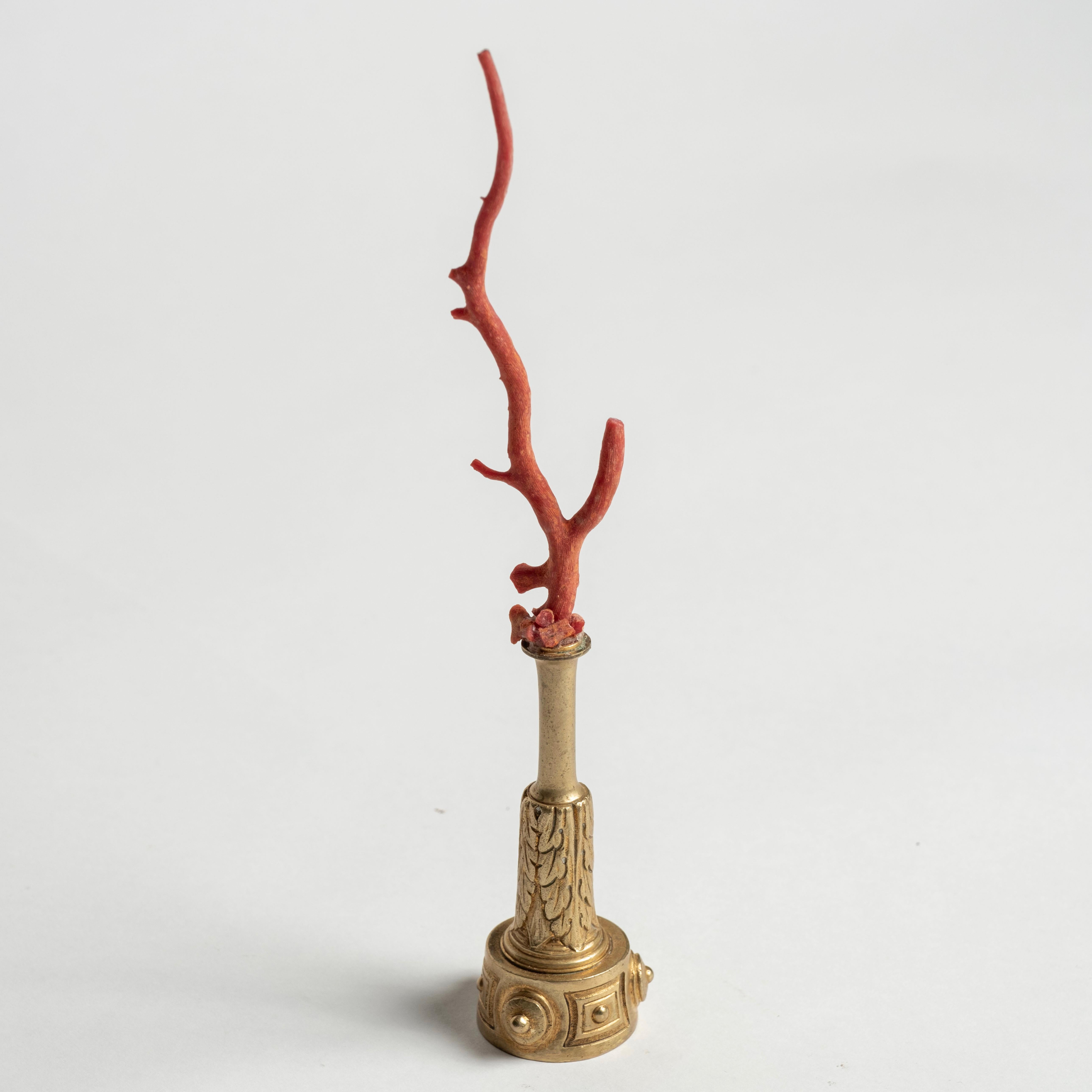 Red coral branch mounted on a 19th-Century French bronze doré fragment. This is a lovely objet d'art to add to your collection or cabinet.

During the Renaissance, Cabinets of Art and Curiosity were developed for the essential expressions of human