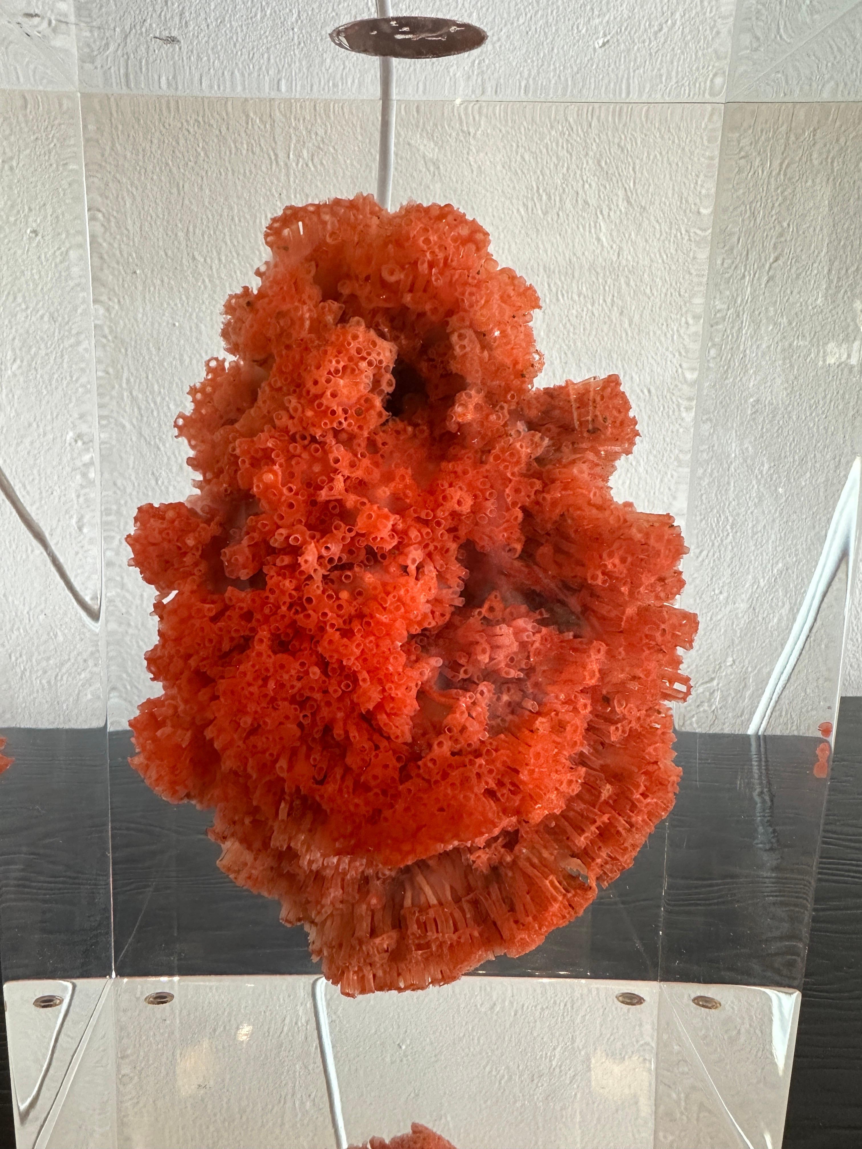 Custom paper shade on this rewired French beauty. Large natural red coral specimen floating in perfectly clear acrylic block. Stunning!!!  Lucite Block dimensions: 9