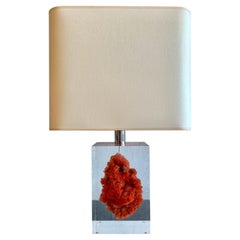 Red Coral Specimen Floating in Lucite Block Table Lamp