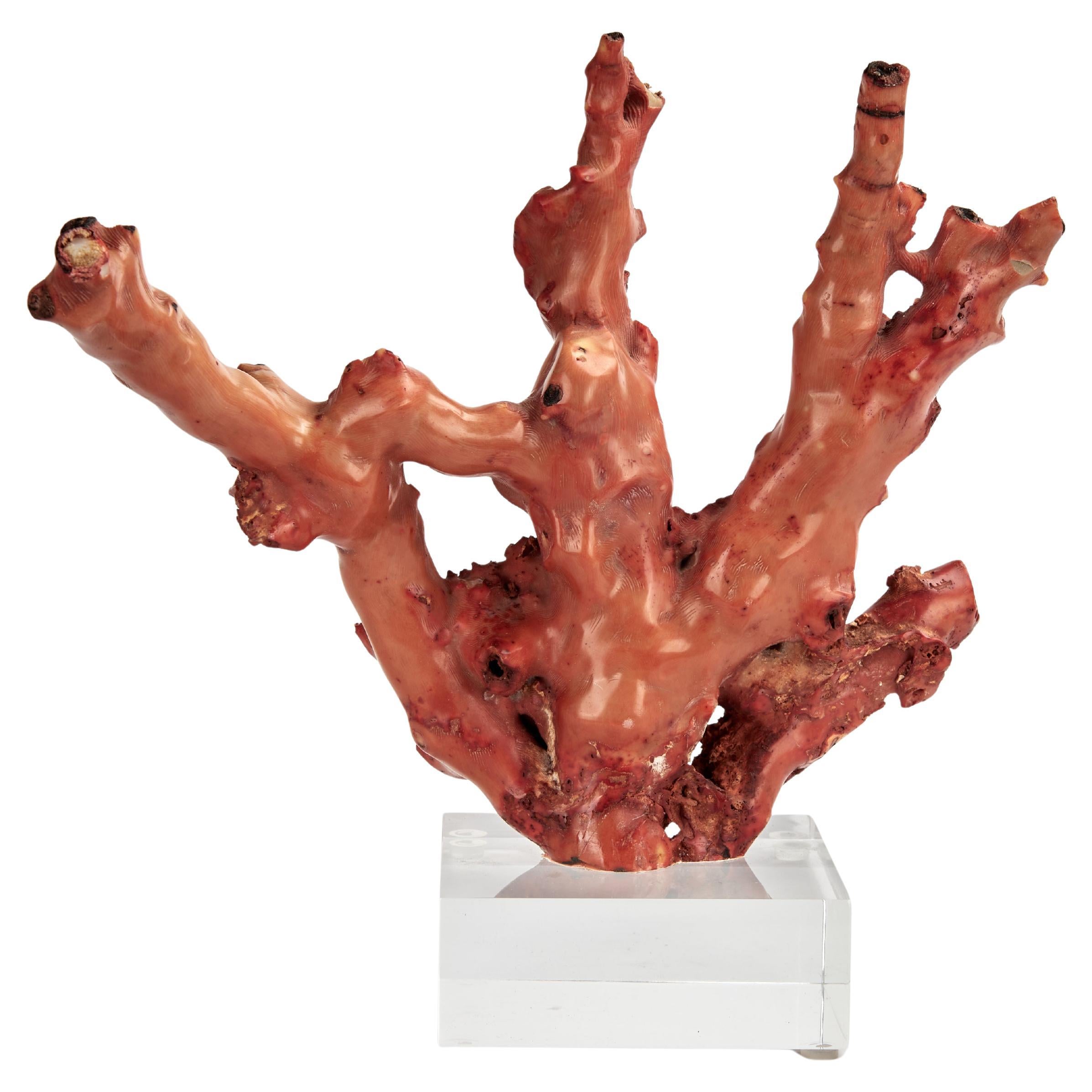 Hand-Crafted Objets décoratifs