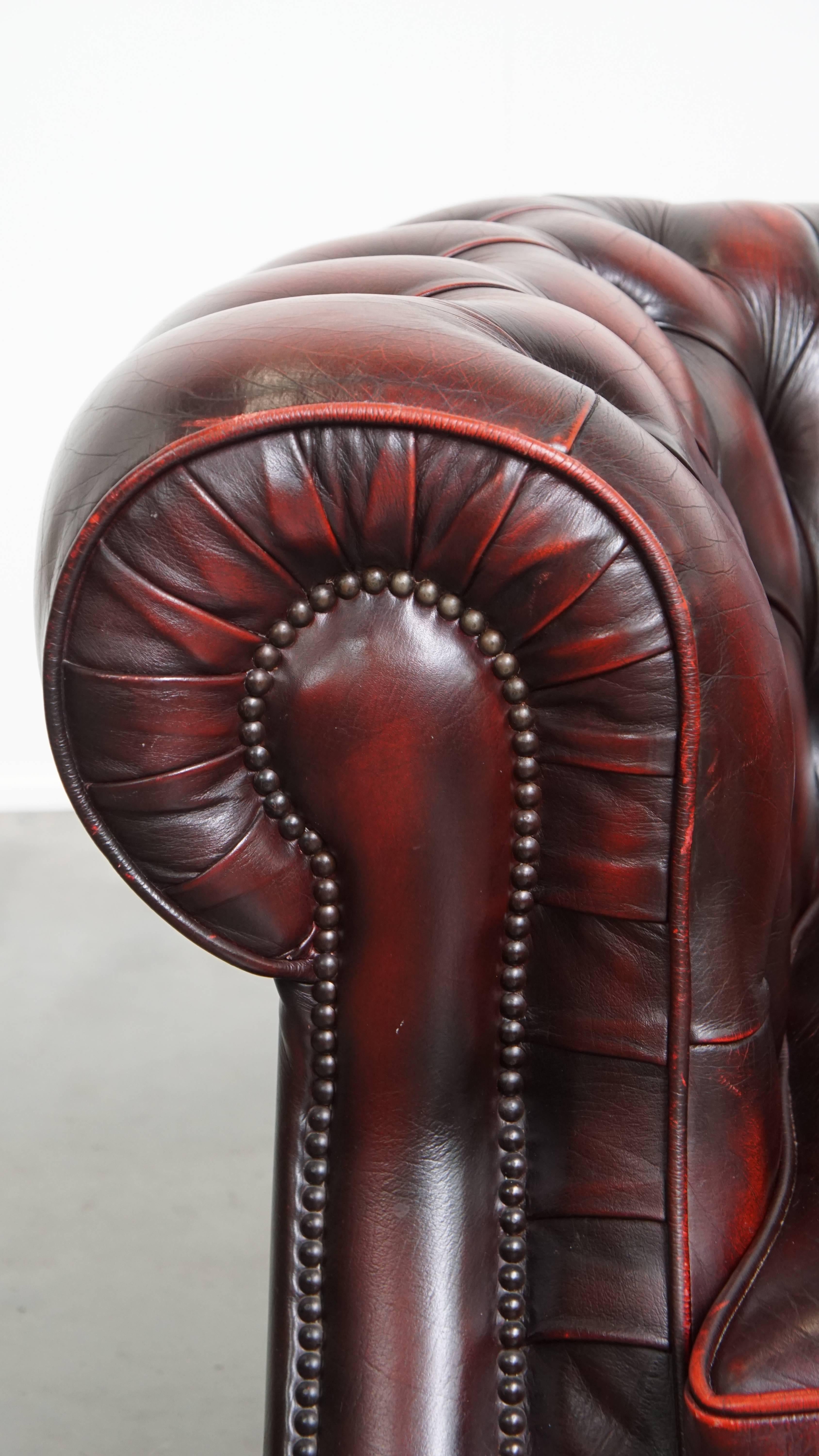 Sedia Club Chesterfield in pelle di vacchetta rossa in stile inglese in vendita 4