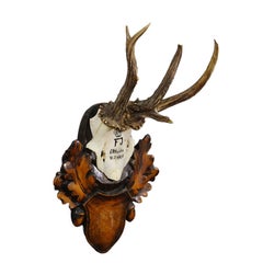 Red Deer Trophy by Franz Joseph, Prince of Thurn and Taxis, 1969