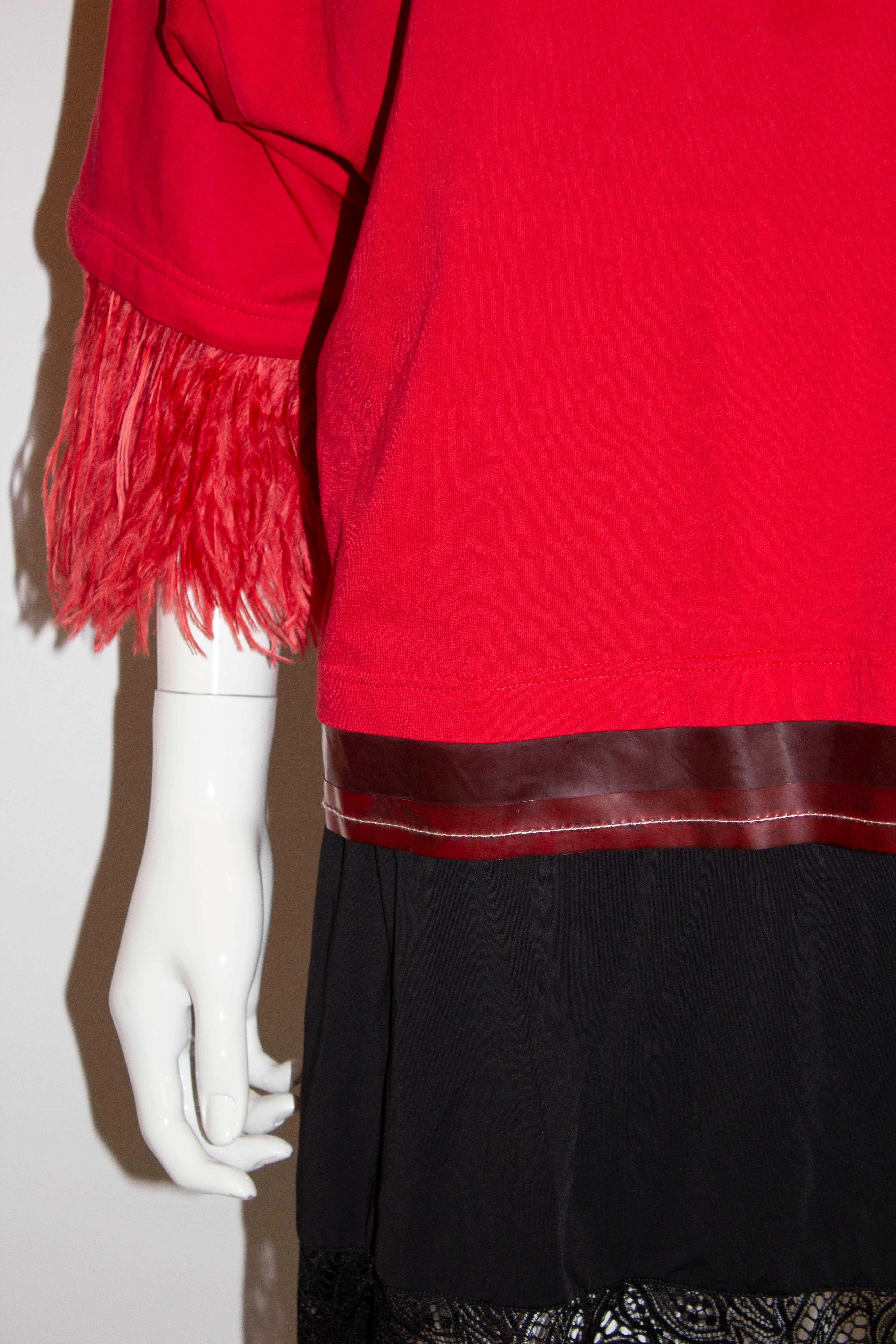 red feather blouse