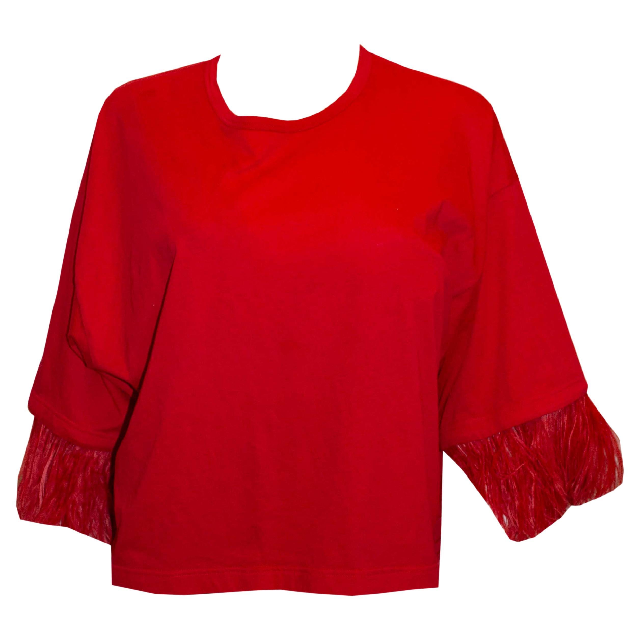 Red Feather Trim Top by No 21. For Sale
