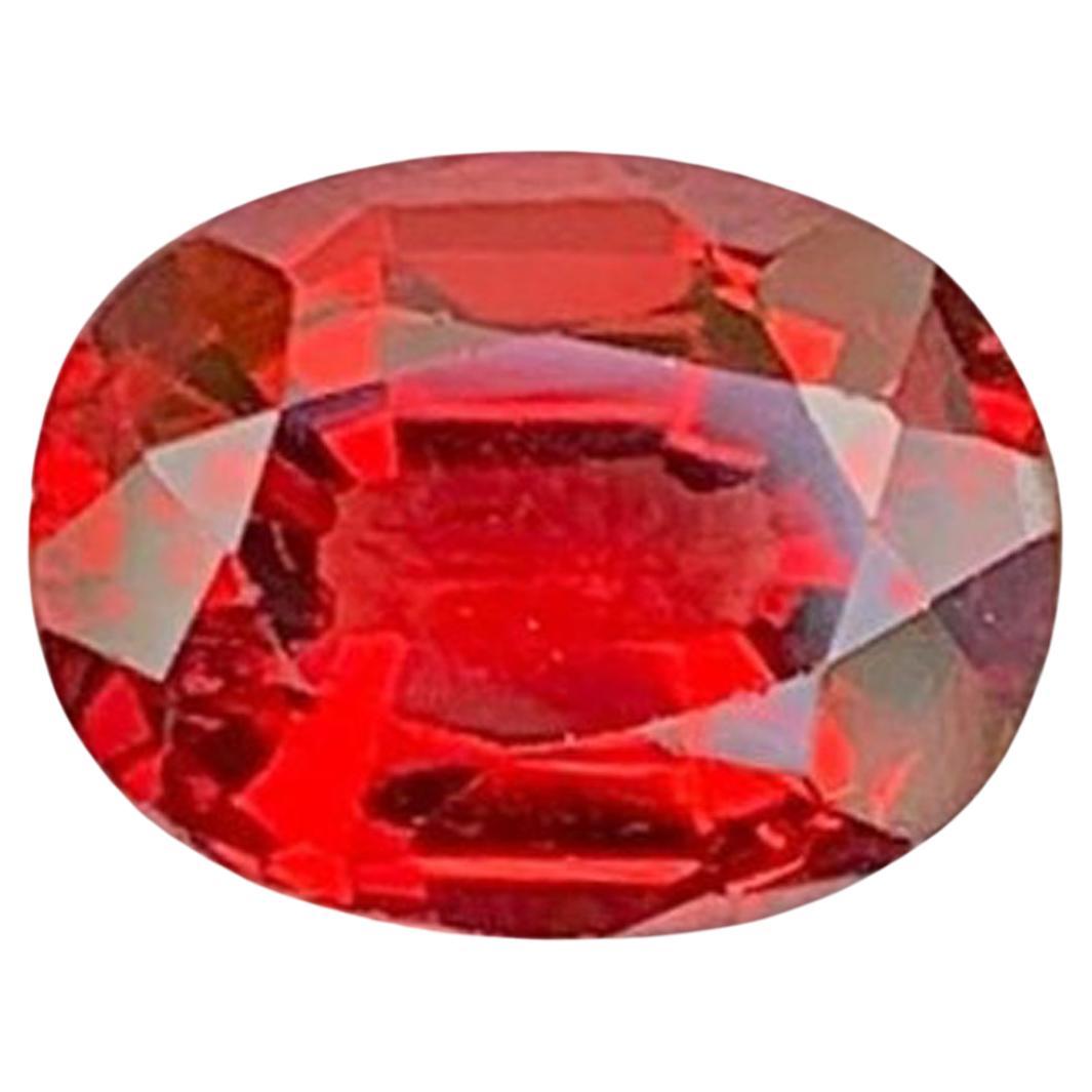 Roter Granat Edelstein: Ovalschliff Januar Geburtsstein, 1.37 Karat