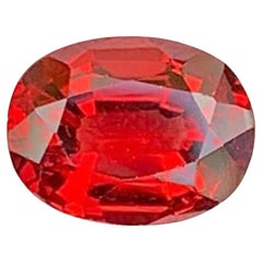 Gemma di granato rosso: Pietra di gennaio dal taglio ovale, 1.37 carati